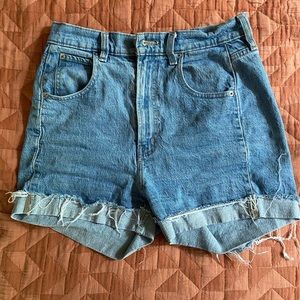 BDG Urban Outfitters Shorts - Size 30
